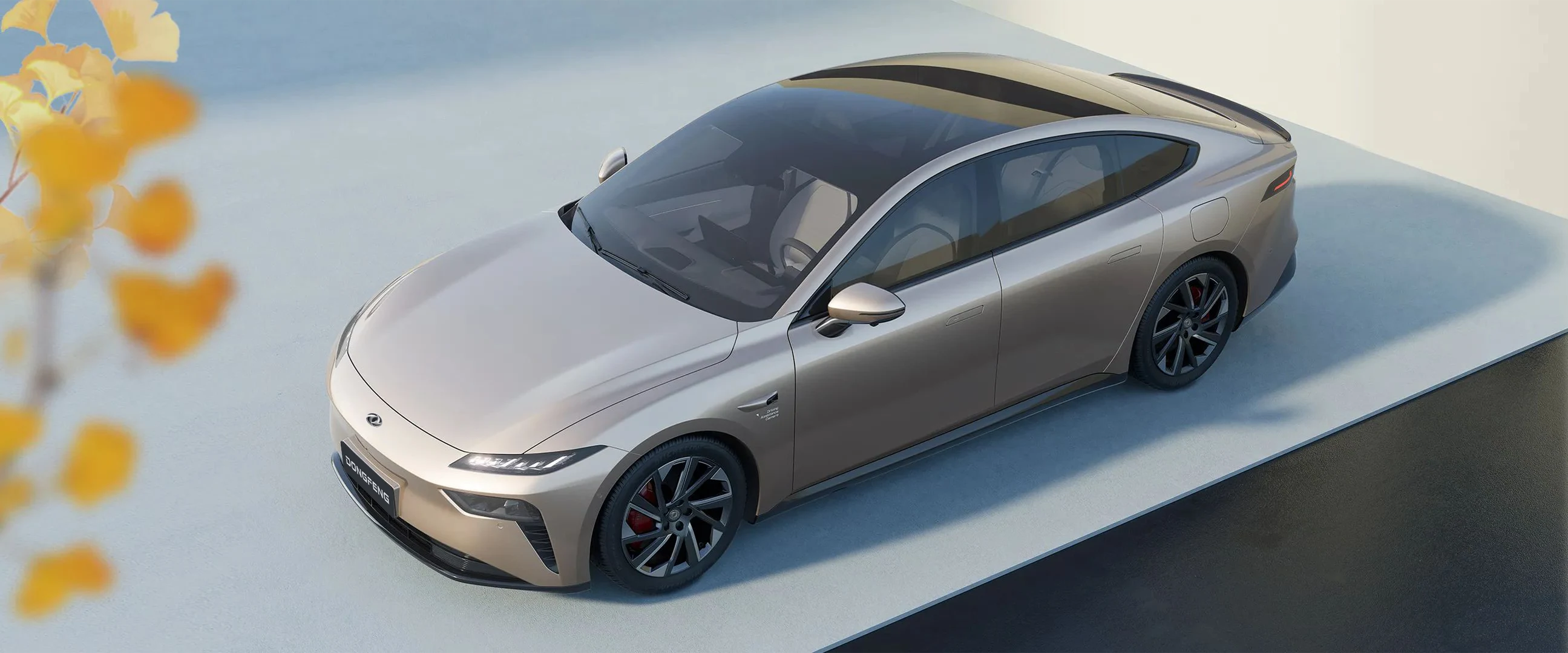 Dongfeng 007 exterior view
