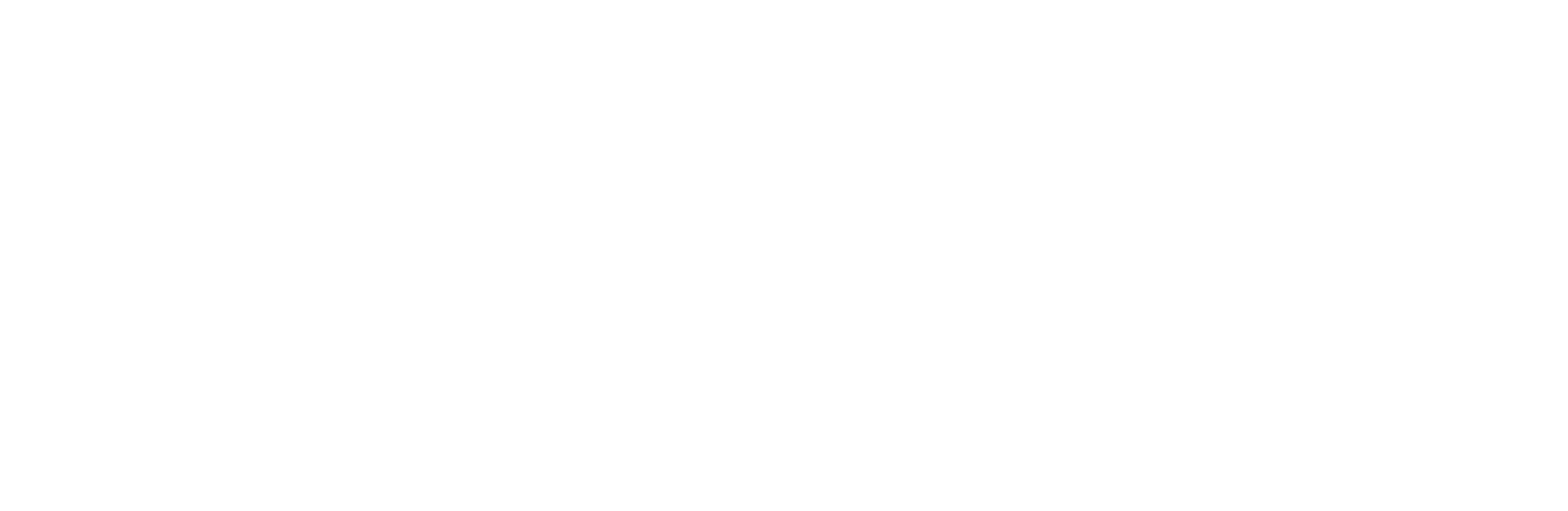 Oneroad Motor Group logo